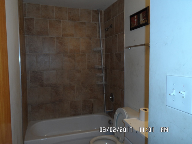 1001 Purdue Ln, Matteson, IL 60443 photo 7