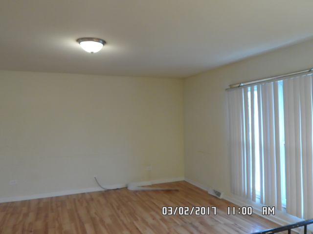 1001 Purdue Ln, Matteson, IL 60443 photo 3