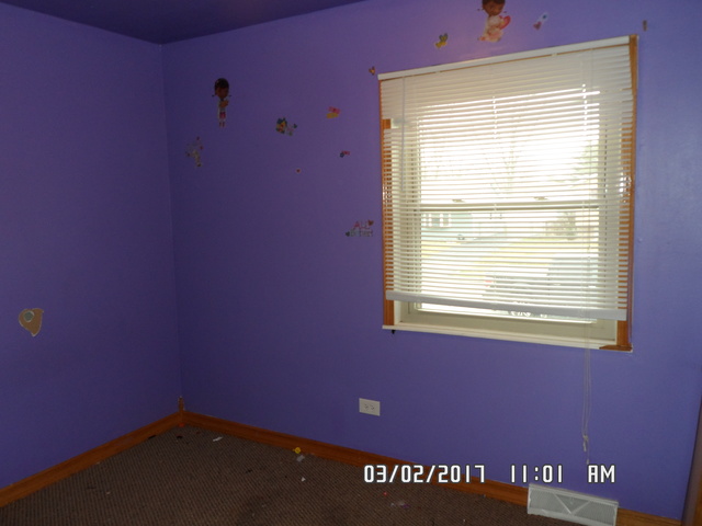 1001 Purdue Ln, Matteson, IL 60443 photo 10