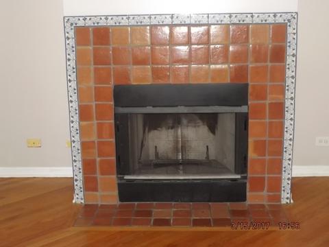 907 E 53rd St, Chicago, IL 60615 photo 2
