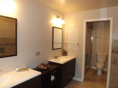 907 E 53rd St, Chicago, IL 60615 photo 20