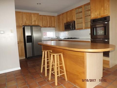 907 E 53rd St, Chicago, IL 60615 photo 5