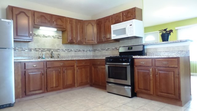 211 E Maxon Ln, Streamwood, IL 60107 photo 10
