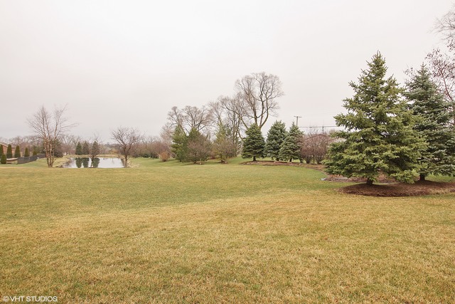 25655 S Bristol Ln, Monee, IL 60449 photo 24