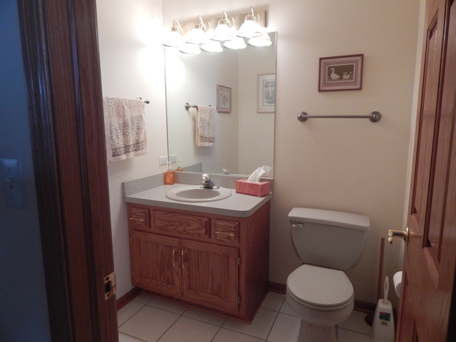 402 Feeney Dr, Minooka, IL 60447 photo 17