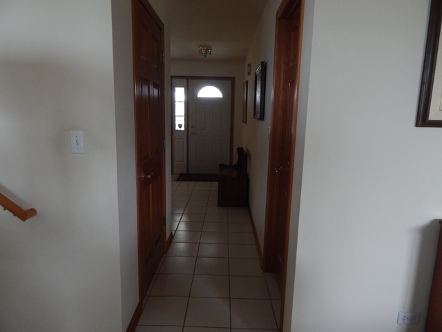 402 Feeney Dr, Minooka, IL 60447 photo 10
