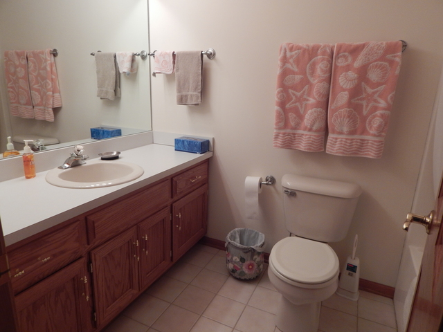 402 Feeney Dr, Minooka, IL 60447 photo 18