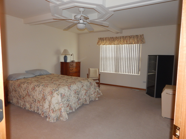 402 Feeney Dr, Minooka, IL 60447 photo 13