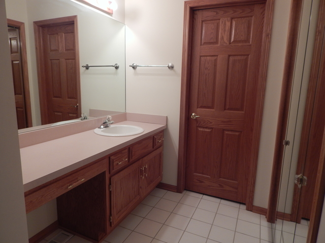 402 Feeney Dr, Minooka, IL 60447 photo 14