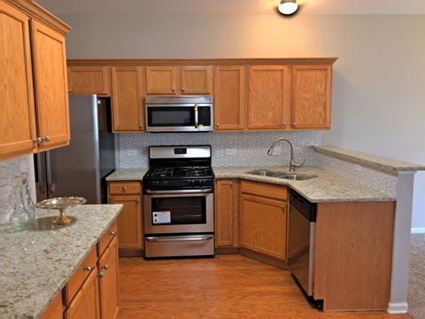 181 Durango Dr, Gilberts, IL 60136 photo 10