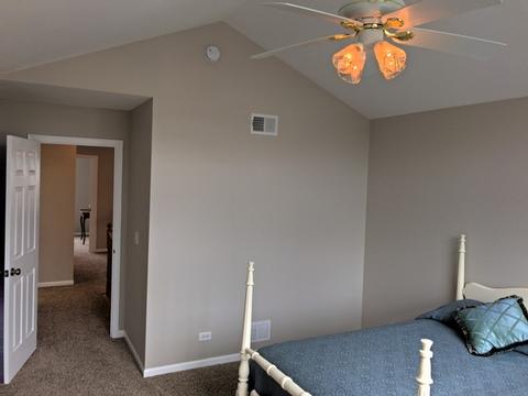 181 Durango Dr, Gilberts, IL 60136 photo 19