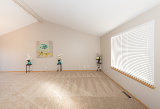 16138 Spaulding Ave, Markham, IL 60428 photo 5