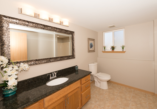 16138 Spaulding Ave, Markham, IL 60428 photo 15