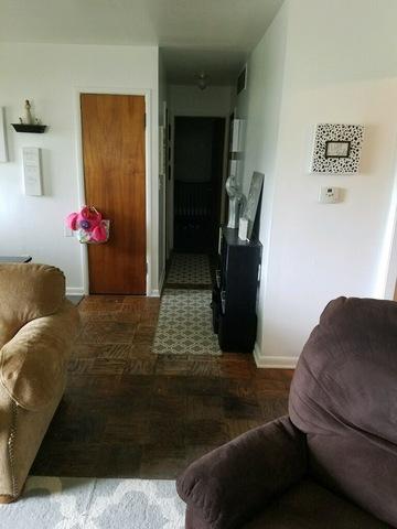 301 Meltzer Ave, Walnut, IL 61376 photo 4