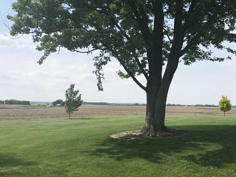 799 Easy Rd, Ohio, IL 61349 photo 25