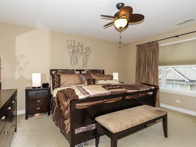 477 E Railroad Ave, Bartlett, IL 60103 photo 13