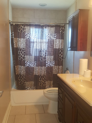 17809 Park Ave, Lansing, IL 60438 photo 5