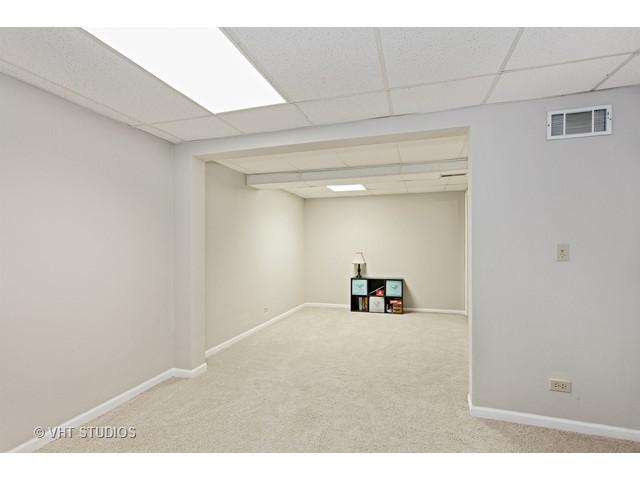 100 Raintree Ct, Aurora, IL 60504 photo 5