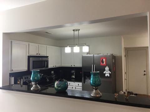 1091 Symphony Dr, Aurora, IL 60504 photo 7