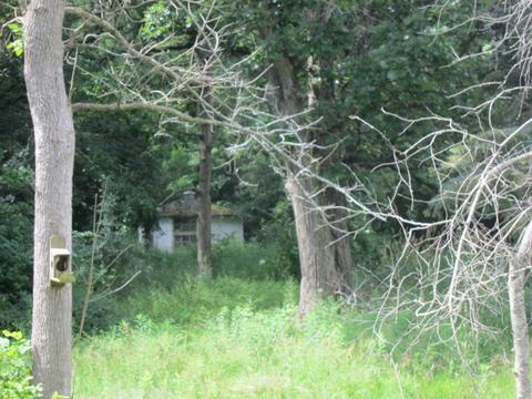 20001 Streit Rd, Harvard, IL 60033 photo 18