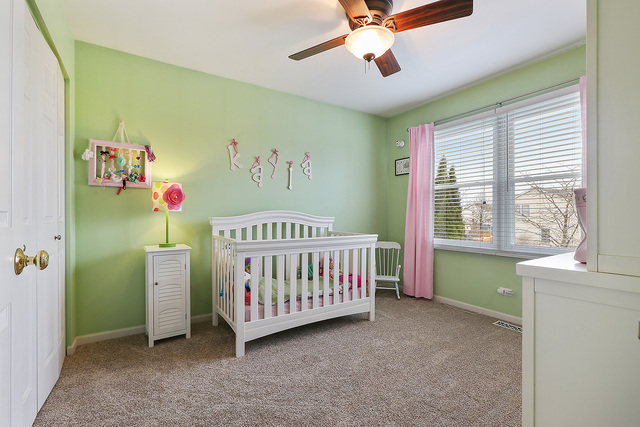 1805 Olde Mill Rd, Plainfield, IL 60586 photo 15