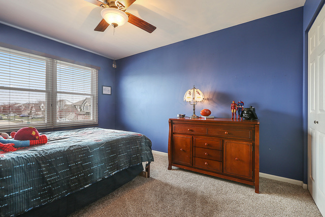 1805 Olde Mill Rd, Plainfield, IL 60586 photo 17