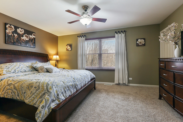 1805 Olde Mill Rd, Plainfield, IL 60586 photo 13