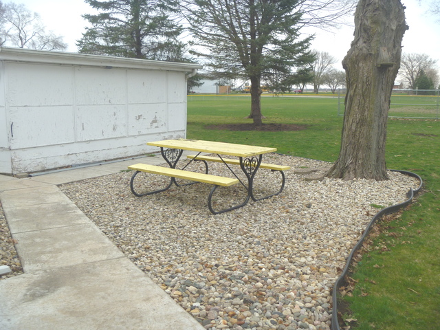 208 Elm St, Cedar Point, IL 61316 photo 8