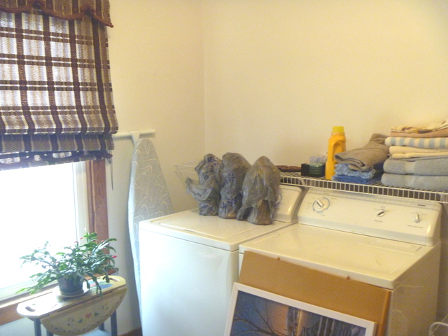 208 Elm St, Cedar Point, IL 61316 photo 6