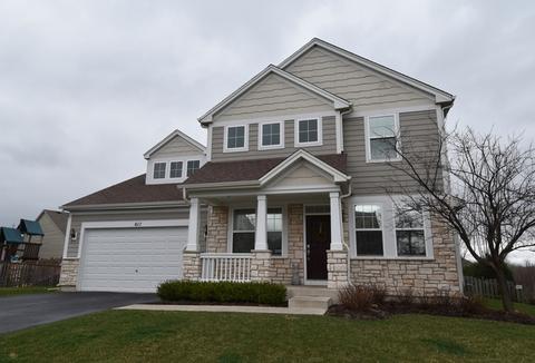 617 Trails End, Elgin, IL 60124 photo 1
