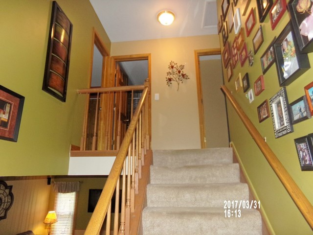 545 W Parkview Ter, Algonquin, IL 60102 photo 10