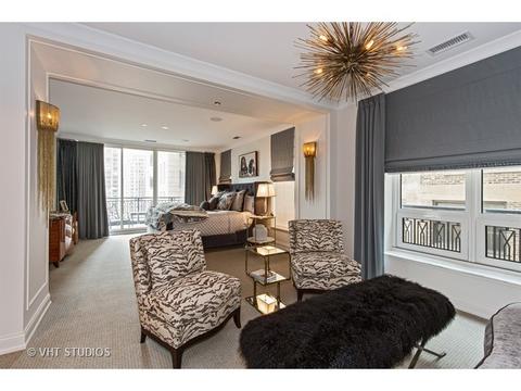 10 E Delaware Pl #14B, Chicago, IL 60611 photo 10