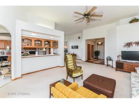 516 Highlington Ct, Beecher, IL 60401 photo 4