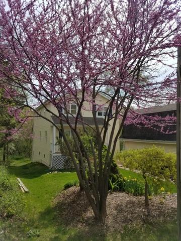 36135 N Eagle Ct, Ingleside, IL 60041 photo 3