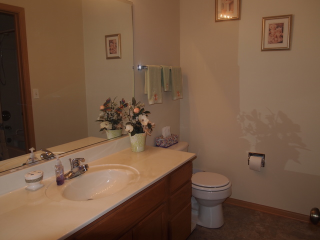 14032 Emerald Ct, Plainfield, IL 60544 photo 9
