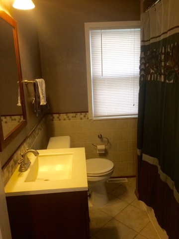 3108 Chicago Rd, Steger, IL 60475 photo 10