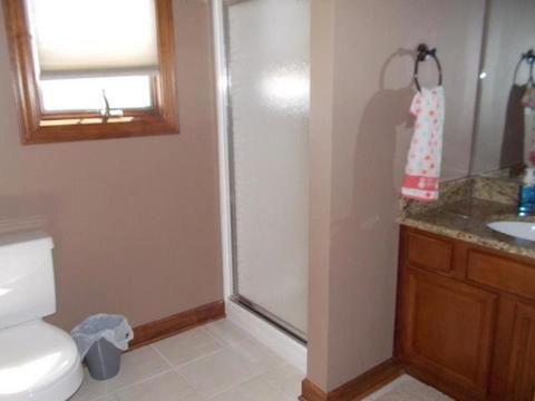 254 Poplar Ln, Beecher, IL 60401 photo 14