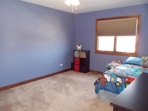 254 Poplar Ln, Beecher, IL 60401 photo 9