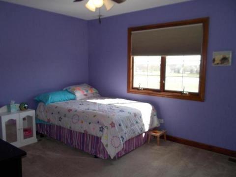 254 Poplar Ln, Beecher, IL 60401 photo 10