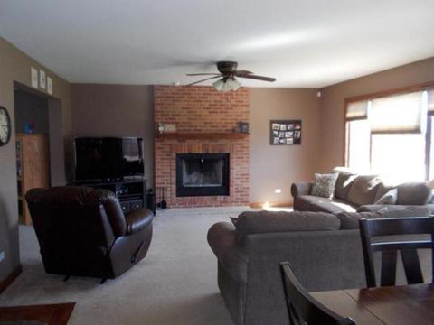 254 Poplar Ln, Beecher, IL 60401 photo 3