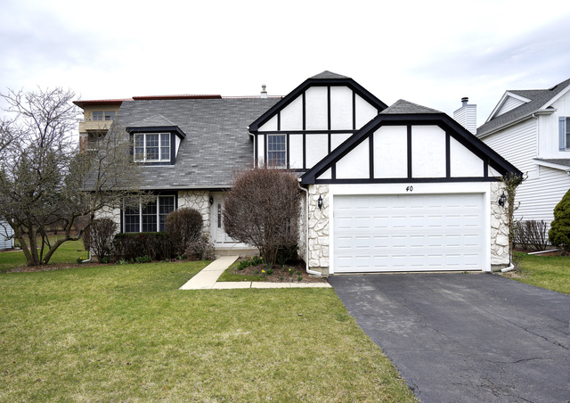 40 Picardy Ln, Wheeling, IL 60090 photo 1