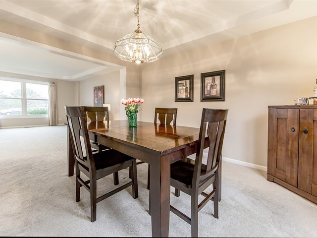 270 Wilcox Ct, Bartlett, IL 60103 photo 9