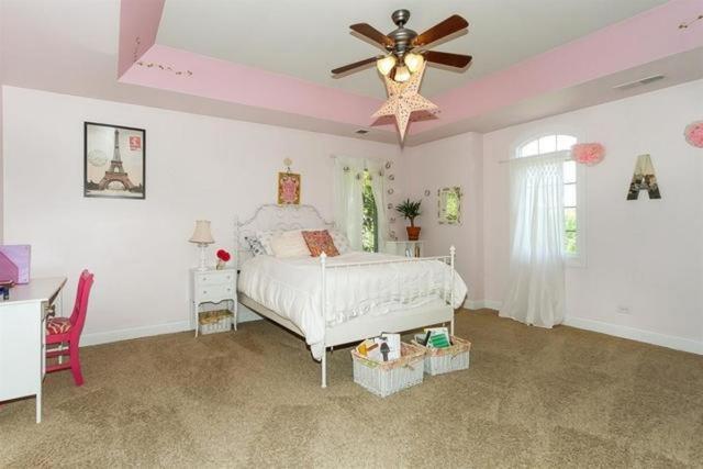 244 S Devon Ave, Bartlett, IL 60103 photo 22