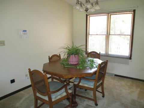9 Spring Creek Dr, Spring Valley, IL 61362 photo 5