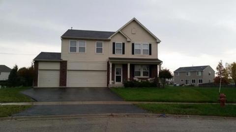 14319 Springfield Ct, Plainfield, IL 60544 photo 1