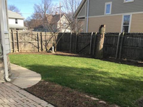 264 Hill Ave, Elgin, IL 60120 photo 15