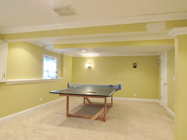 650 Regal Ln, Algonquin, IL 60102 photo 14