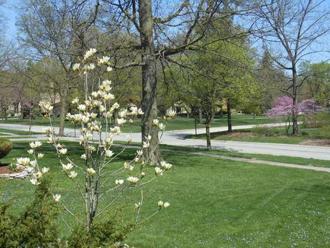 306 Downing Rd, Riverside, IL 60546 photo 29