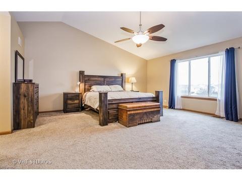 10338 Brighton Ln, Huntley, IL 60142 photo 14