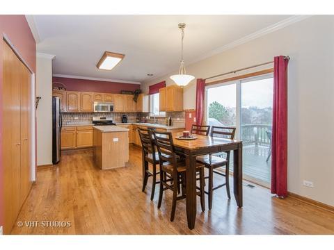 10338 Brighton Ln, Huntley, IL 60142 photo 5